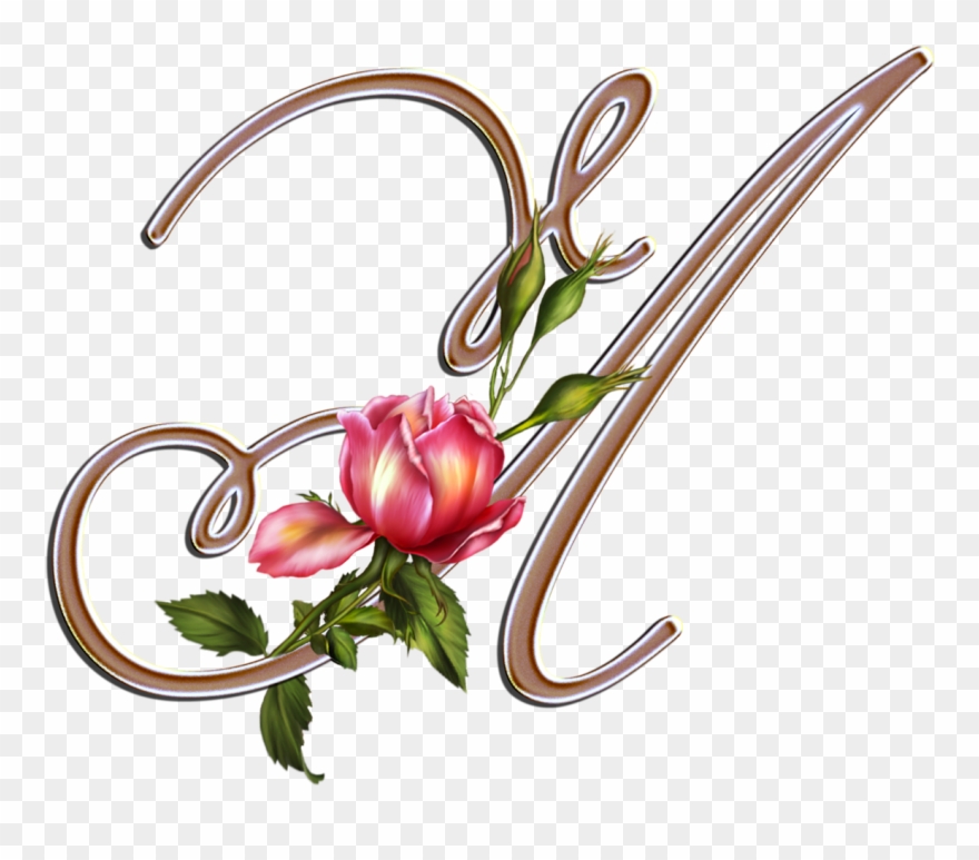 Flores Y Letras Para Decoupage Clipart