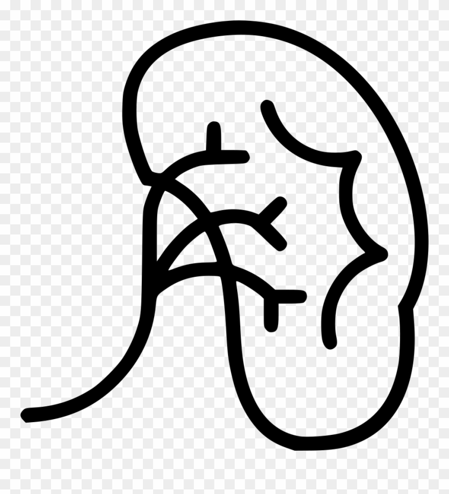Kidney Comments Clipart