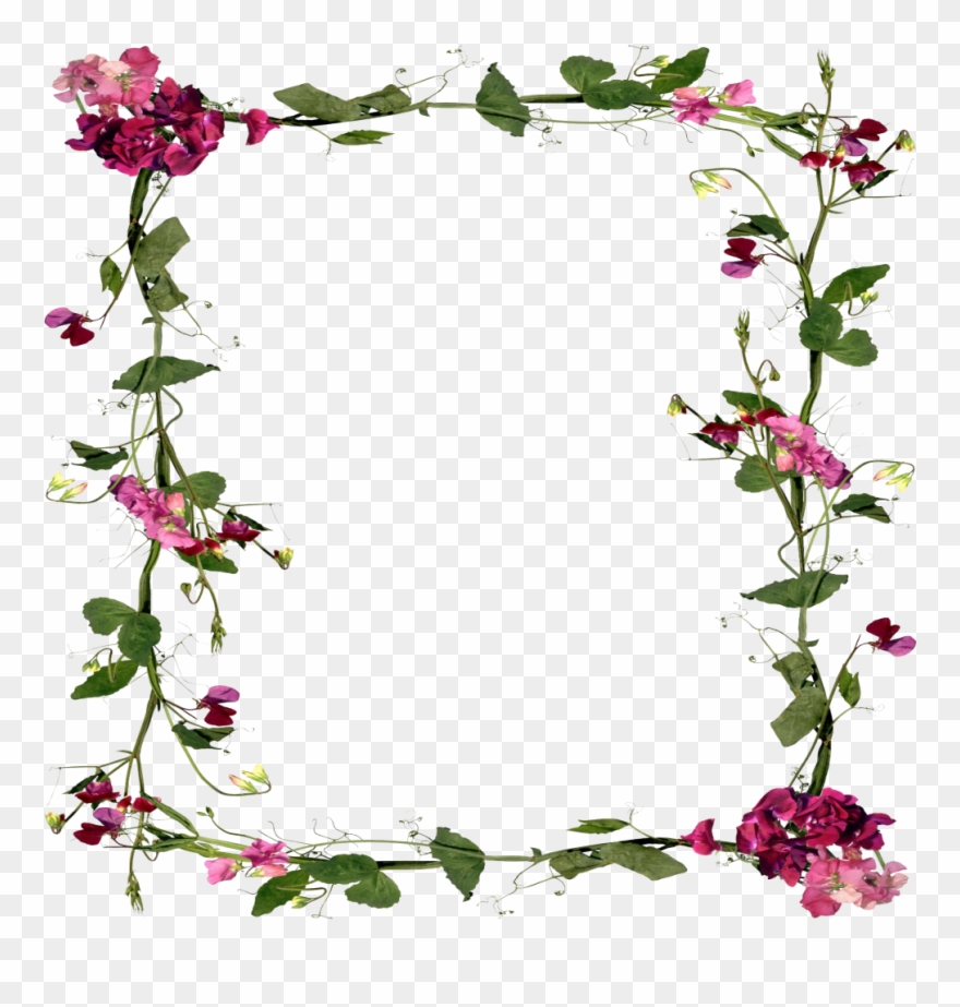 Mq Flowers Vines Border Frame Frames Clipart