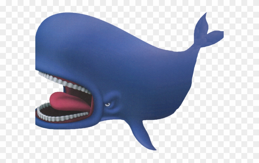 Sperm Whale Clipart Cute - Png Download