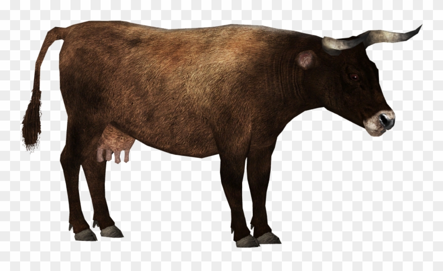 Aurochs F Swollen Udder Clipart