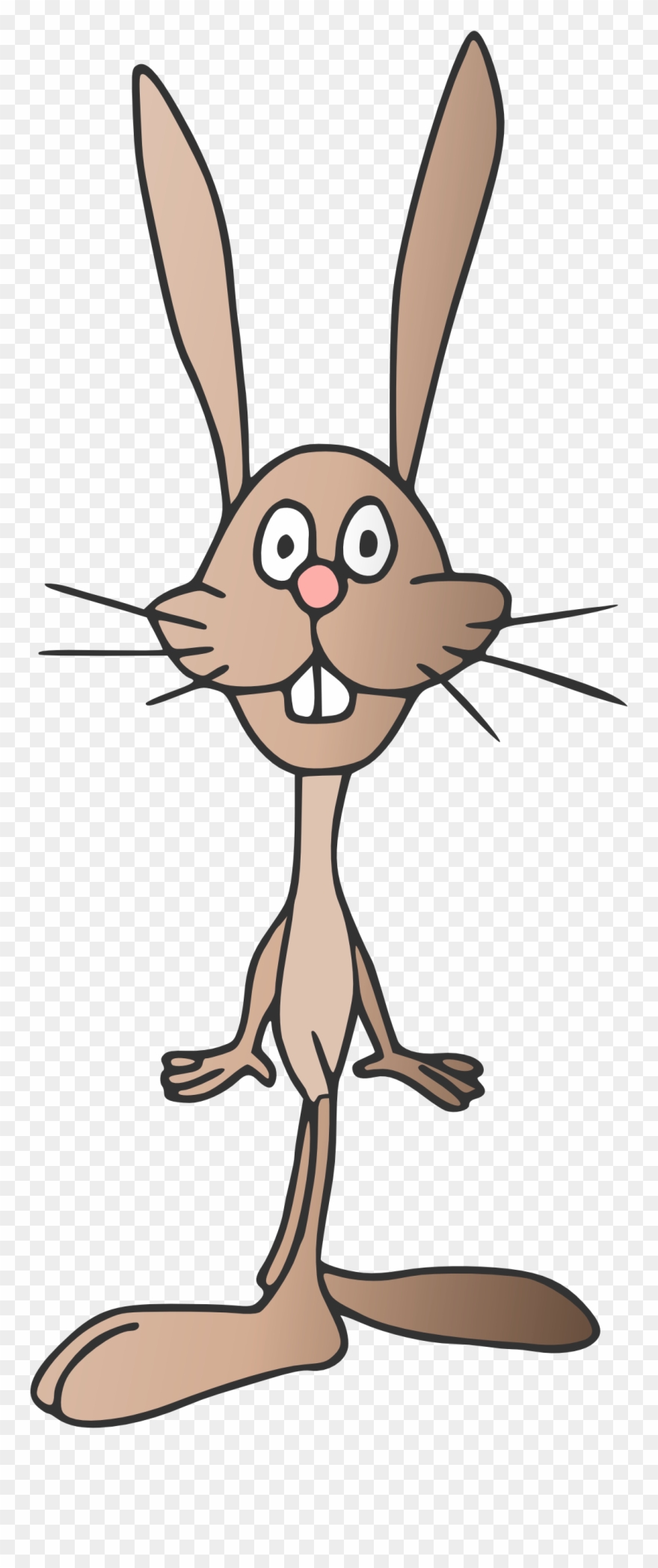 Rabbit 1969px 241 Clipart