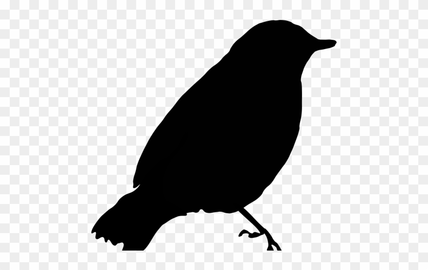 Cuckoo Clipart Robin - Png Download