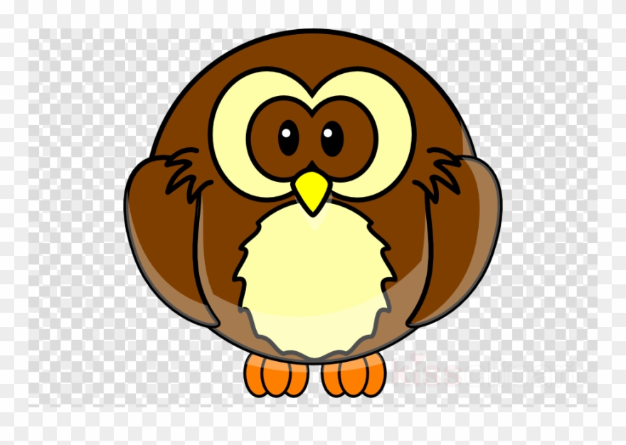 Owl Cartoon Png Clipart Owl Clip Art Transparent Png