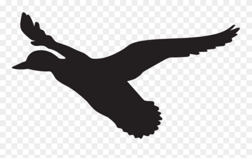 Flying Duck Silhouette Png Clipart
