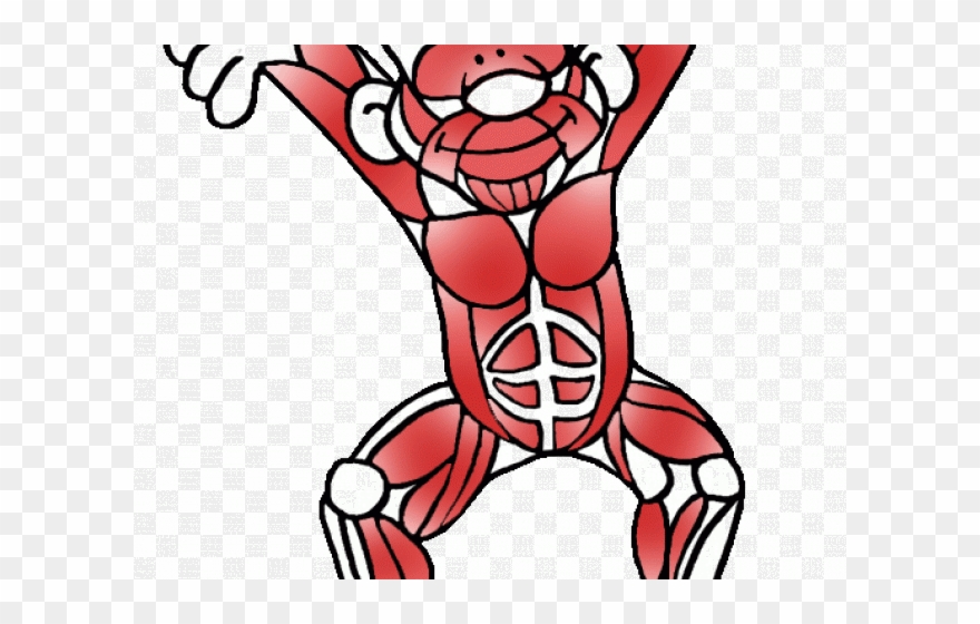 Fitness Clipart Cardiovascular Endurance - Png Download