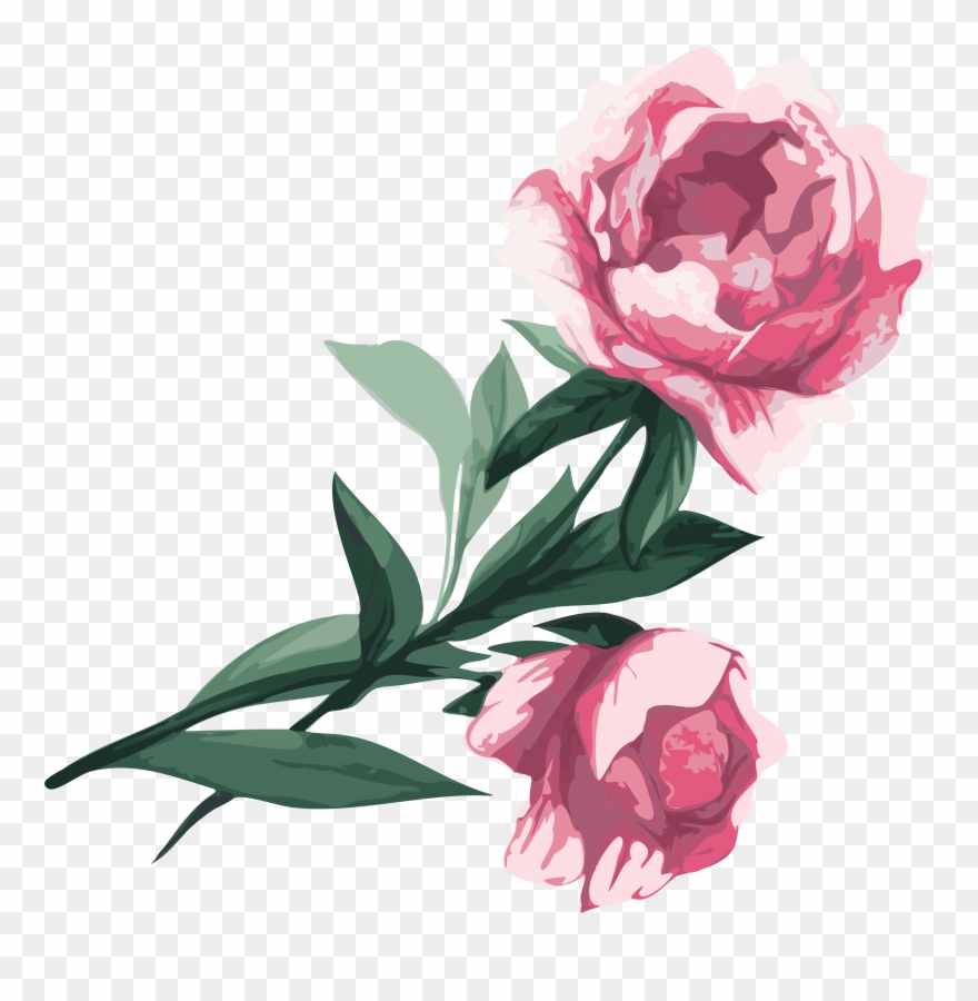 Svg Black And White Flower Garden Roses Peony Clip - Png Download
