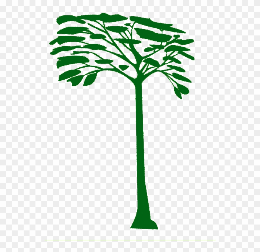 Un Poco Del Chocó Clipart