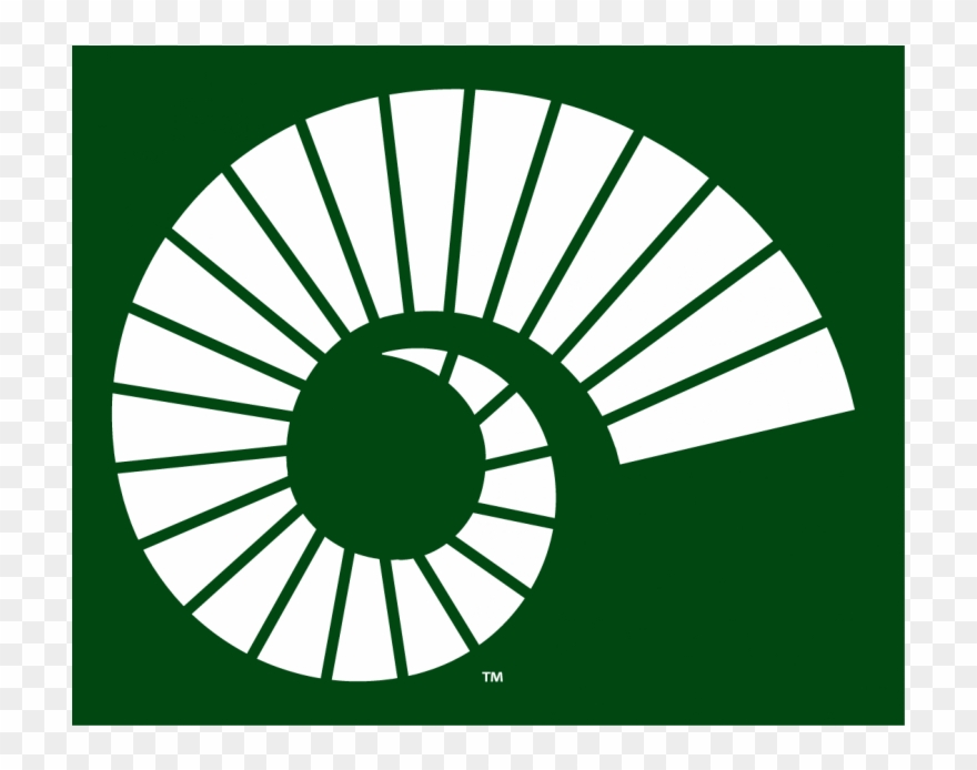 Colorado State Rams Iron Ons Clipart