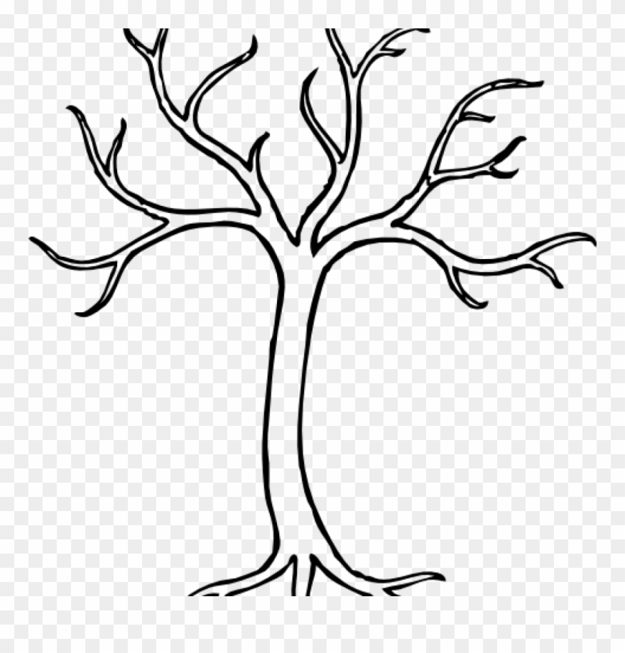 Tree Clipart Outline Tree Outline Clipart Music Clipart - Png Download
