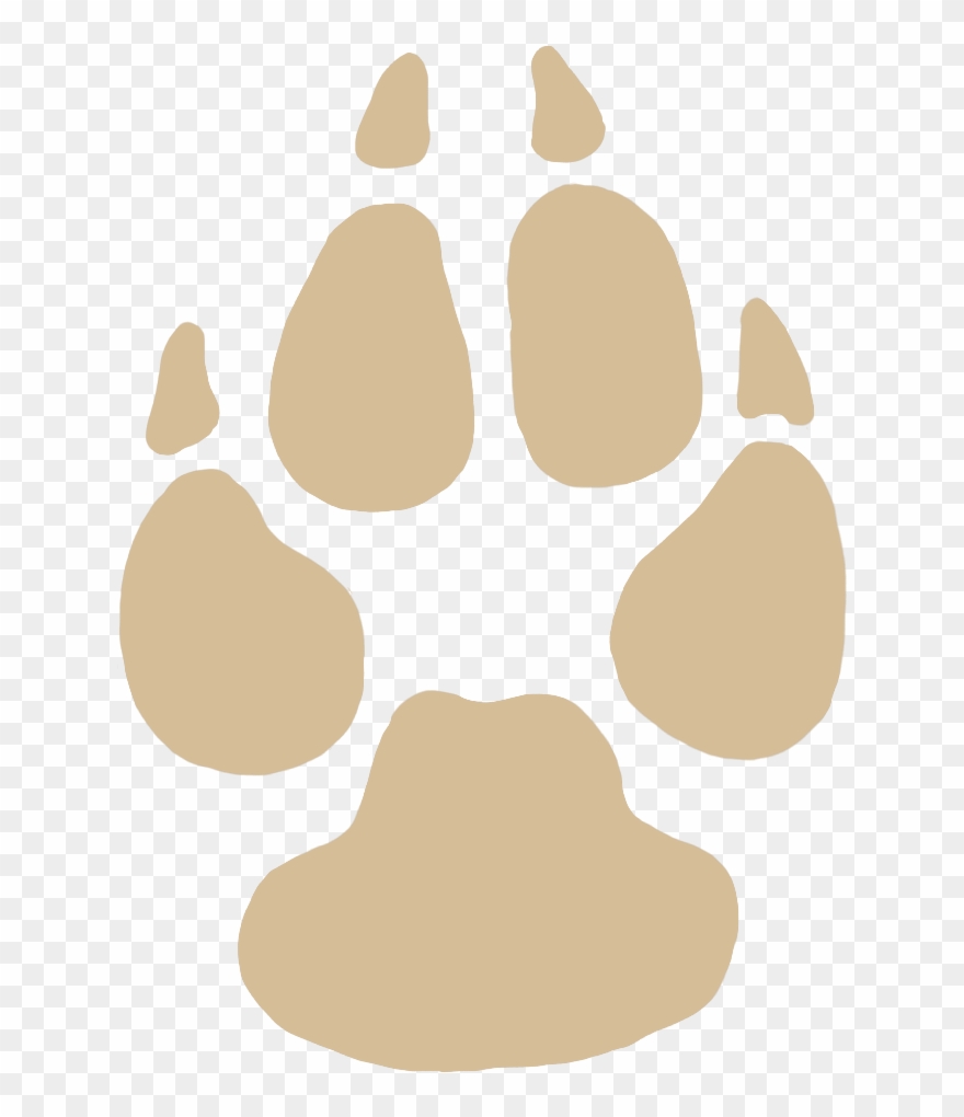 Dog Paw Clipart Transparent - Png Download