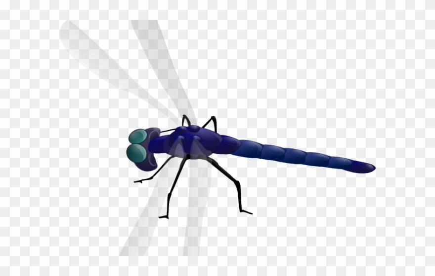 Dragonfly Clipart Animated - Png Download