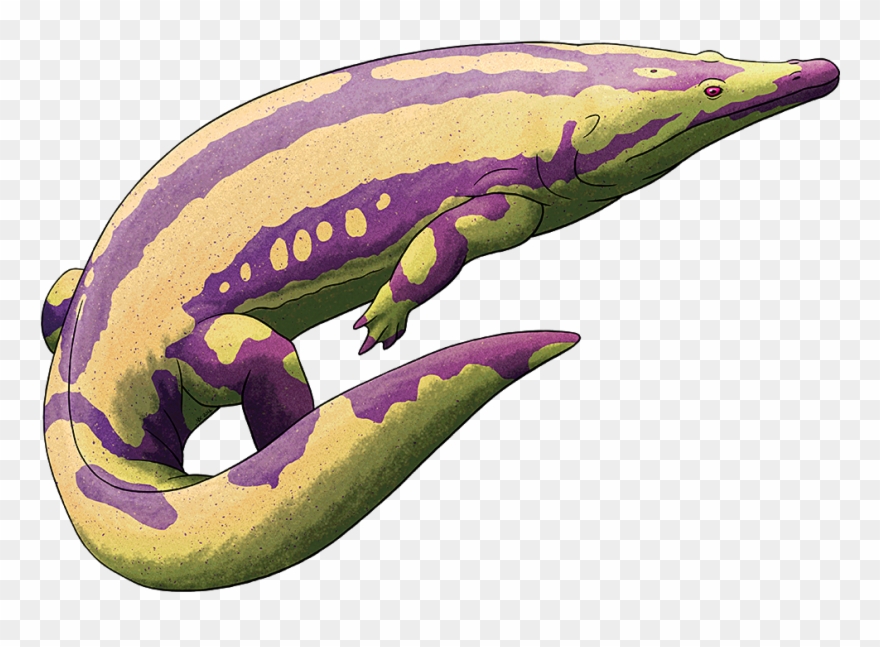 “ Amphibian August Clipart