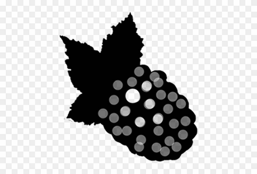 Blackberry Clipart