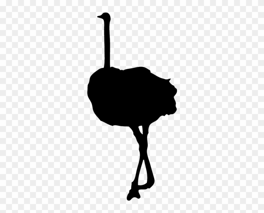 Ostrich Clipart Black And White - Png Download