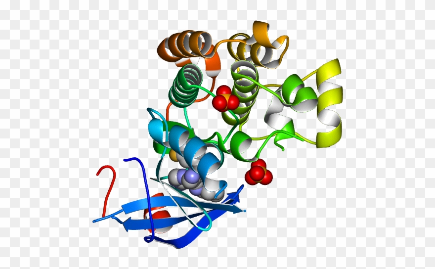 Molmil Generated Image Of 2rgp Clipart