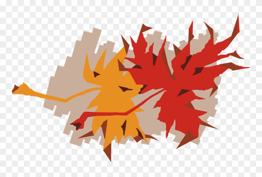 Maple Autumn Fall Leaves Png Image Clipart