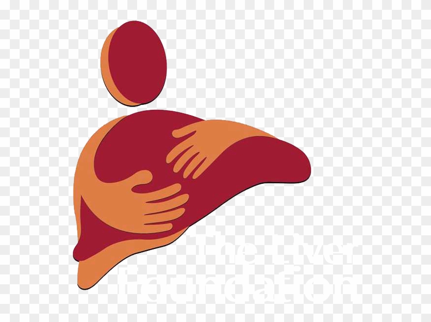 The Liver Foundation India The Liver Foundation India Clipart