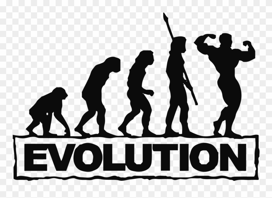 Evolution Of Man Decal Pinterest And Products Clipart
