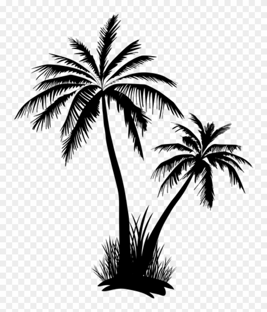 Yükle Negro Aislado Silueta De La Palmera Clipart