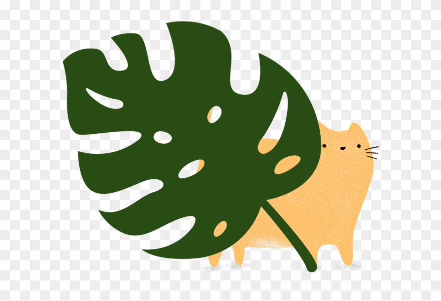 Photo Of Cat Lady Clipart