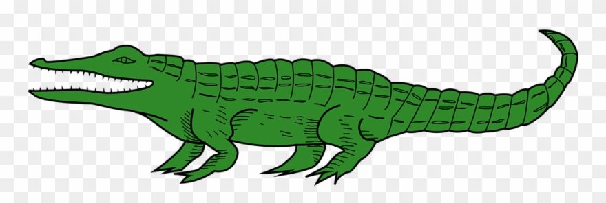 Alligator Graphic Clipart