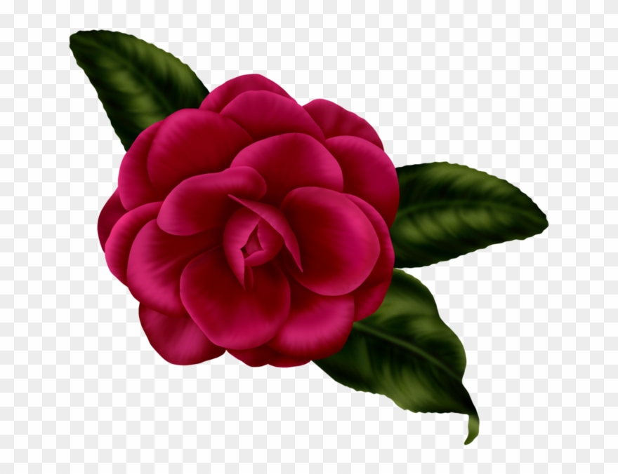 "133848474 Bsd Floral Elegance Element 19" Card From Clipart