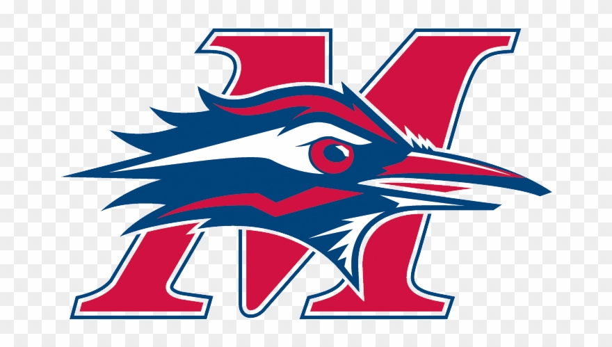 Metro State Baseball Scores, Results, Schedule, Roster Clipart