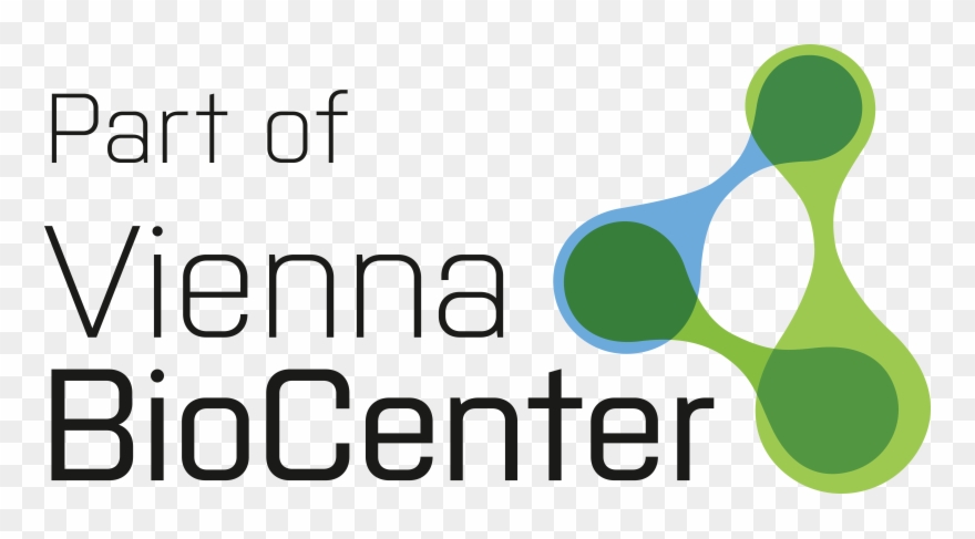 Vaccine Clipart Encephalitis - Png Download