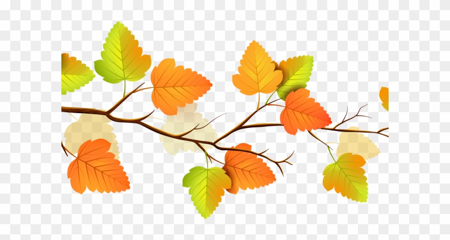 Other Clipart 2 Flower - Png Download