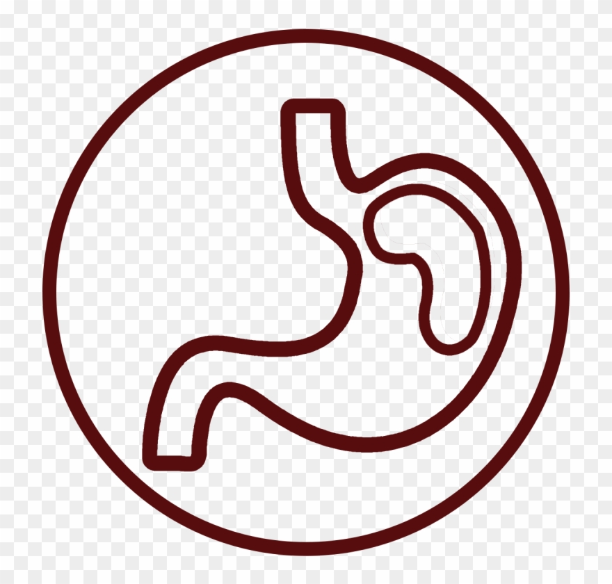 Healthy Digestion, Hair And Joints Clipart