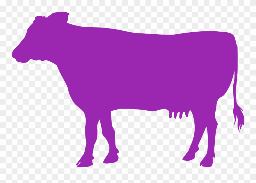 Purple Cow Clipart