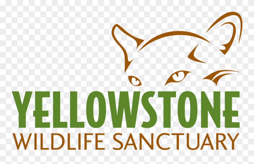 Yws Logo, Full Clipart
