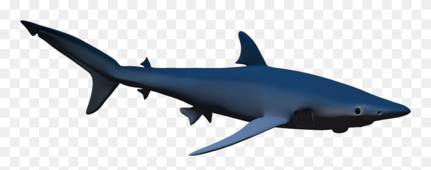 Hammerhead Shark Cartoon Free Download Clip Art Free - Png Download