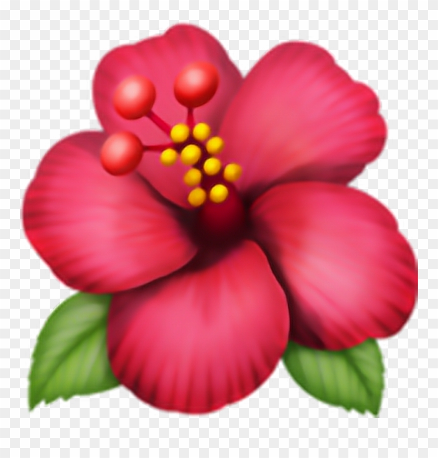 Emoji Flor Png Pngtumblr Pngs Adesivo Flower Clip Art Transparent Png