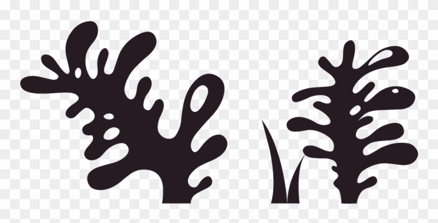 Plant Black Nature Silhouette Png Image Clipart