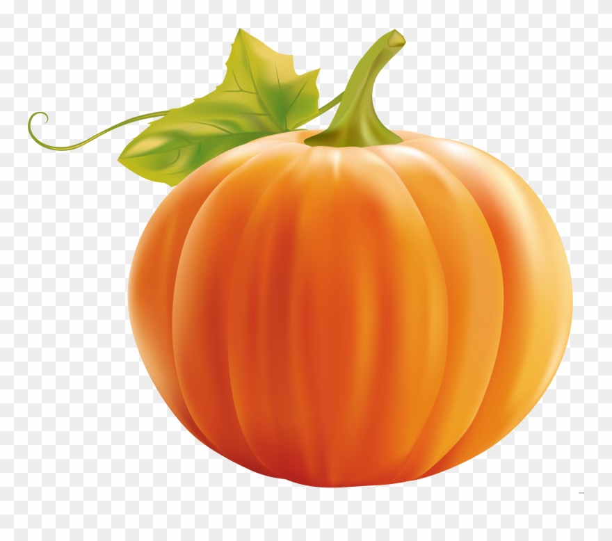 Orange Fruit Clipart Transparent Background - Png Download