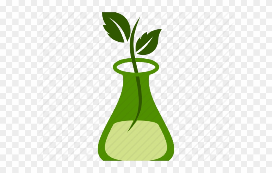 Microscope Clipart Plant Science - Png Download (#2383708) - PinClipart
