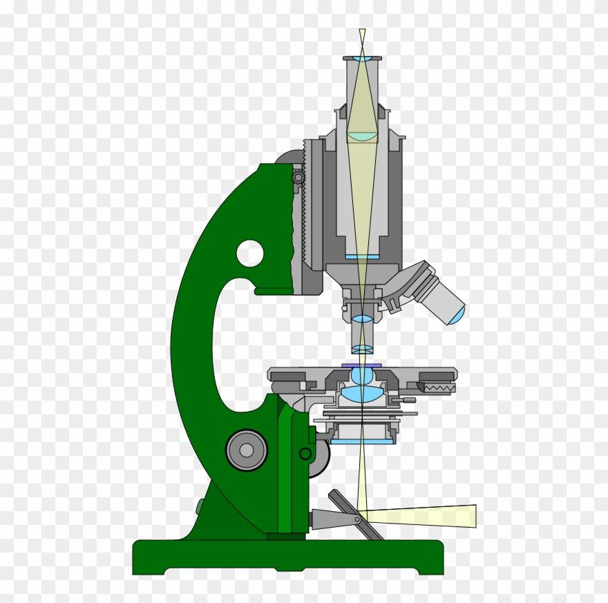 This Image Rendered As Png In Other Widths Clipart