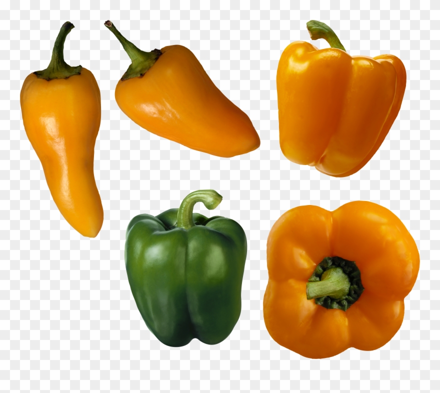 Orange Bell Pepper Drawing Png Clipart