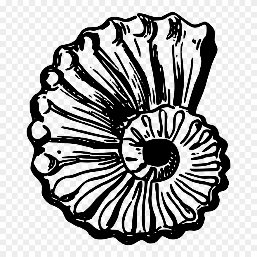 Medium Image Clipart