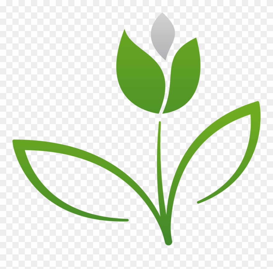 Flower Box Delivery London Clipart