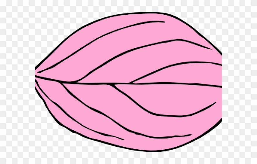 Pink Leaf Cliparts - Png Download