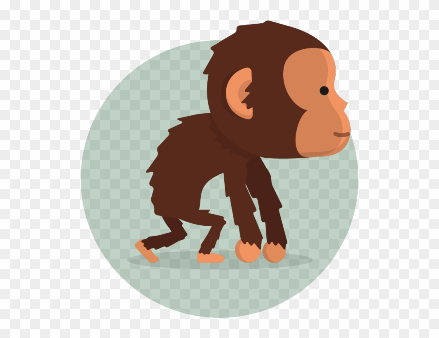 Monkey Boy Clipart