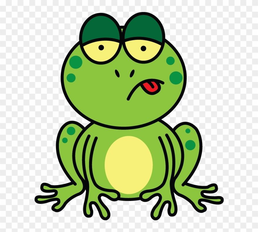 Drawn Toad Rainforest Frog Clipart