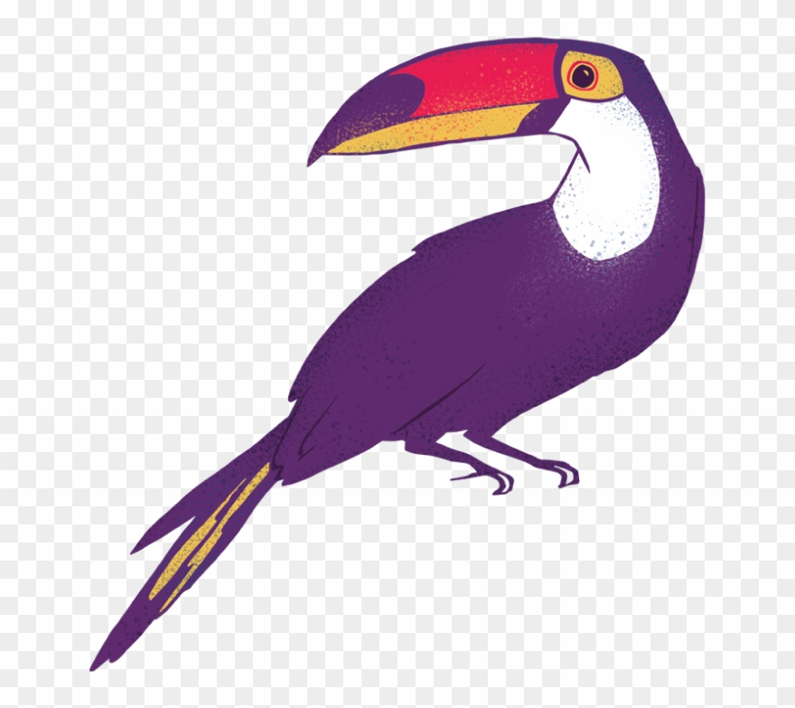 About Amaz Nia Font Amaznia Illustrations Clipart