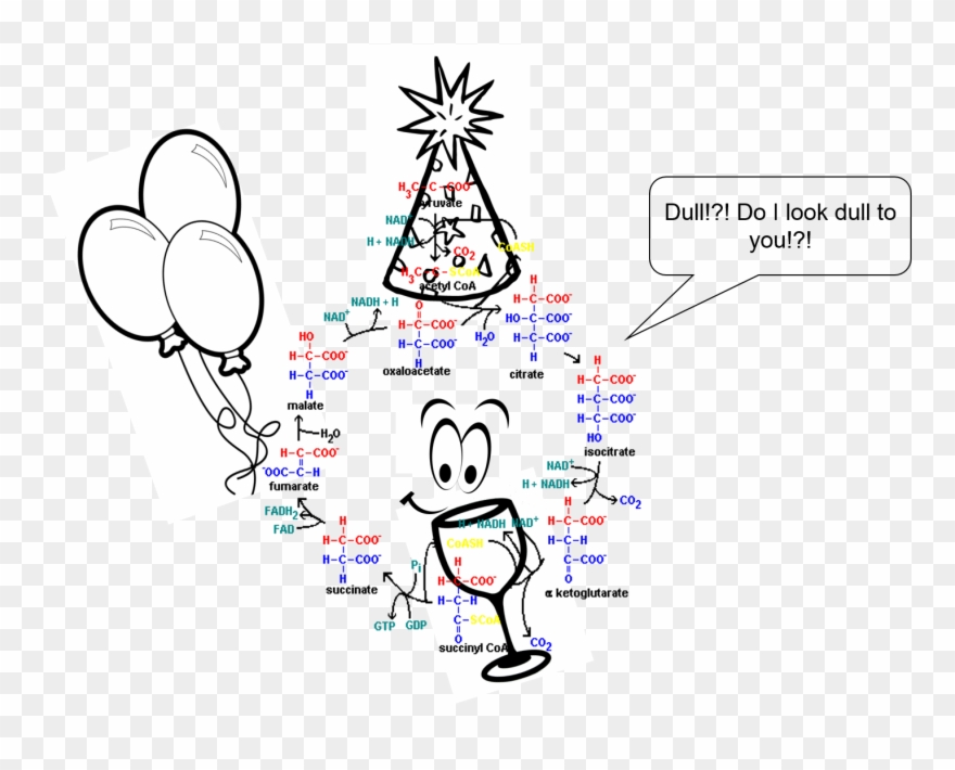 Banner Freeuse Collection Of Free Effront College Download Clipart