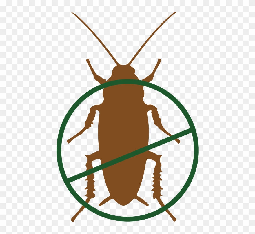 Hydramethylnon, Roach Killer Clipart