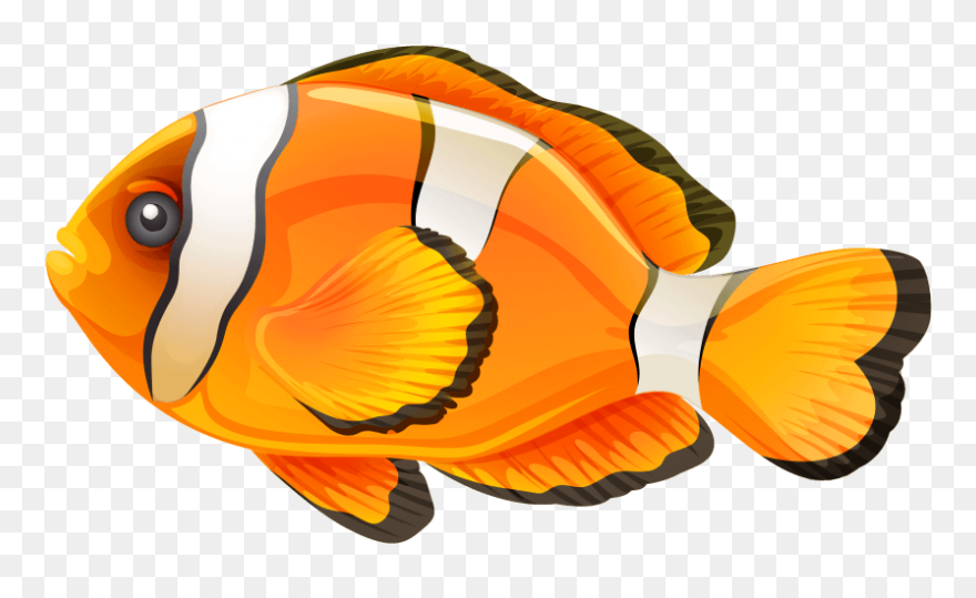 This Png File Is About Fish Clipart , Roach , Gudgeon Transparent Png