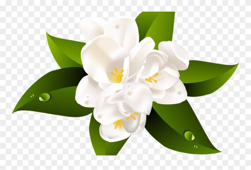 Clipartxtras Transparent Background Hawaiian Flower - Png Download